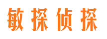 叙永侦探公司